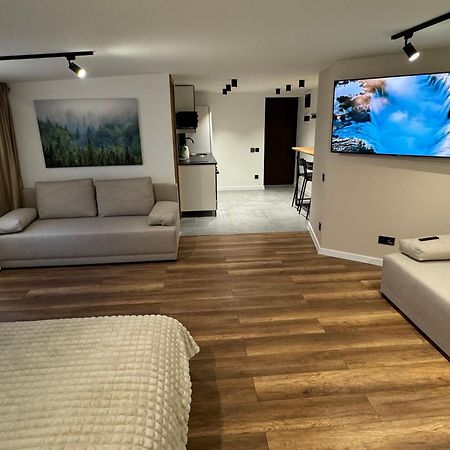 Gray Apartment 24H - Parking On The Street Κατοβίτσε Εξωτερικό φωτογραφία